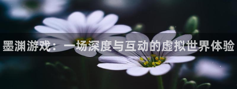 多彩娱乐娱乐是真的吗：墨渊游戏：一场深度与互动的虚拟世界体验