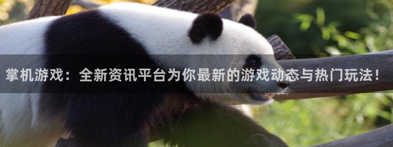 多彩娱乐平台登录入口：掌机游戏：全新资讯平台为你最新的游戏动
