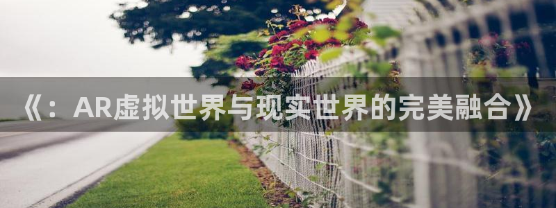 多彩娱乐4开户：《：AR虚拟世界与现实世界的完美融合》