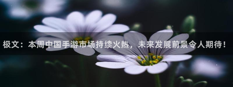 多彩娱乐注册服务条款：极文：本周中国手游市场持续火热，未来发