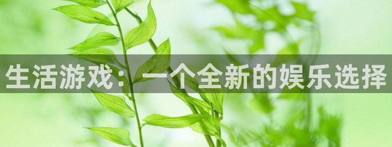 多彩娱乐平台登录线路：生活游戏：一个全新的娱乐选择