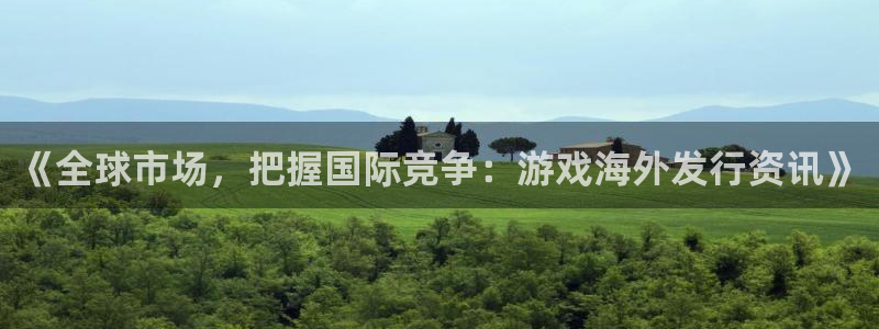 多彩娱乐咨询：《全球市场，把握国际竞争：游戏海外发行资讯》