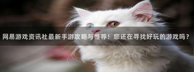 多彩娱乐平台官网入口：网易游戏资讯社最新手游攻略与推荐！您还