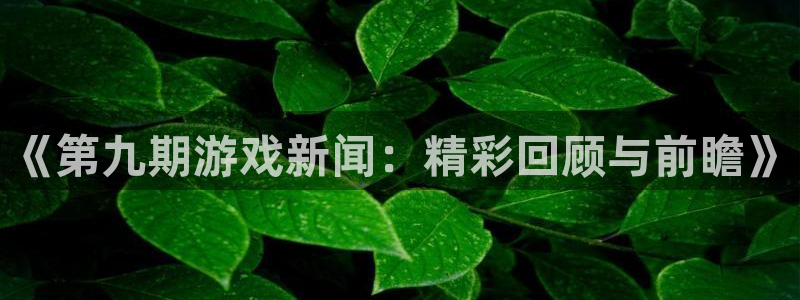多彩娱乐是什么：《第九期游戏新闻：精彩回顾与前瞻》
