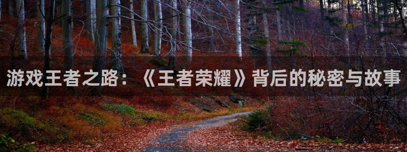 多彩娱乐手机网页版登录：游戏王者之路：《王者荣耀》背后的秘密