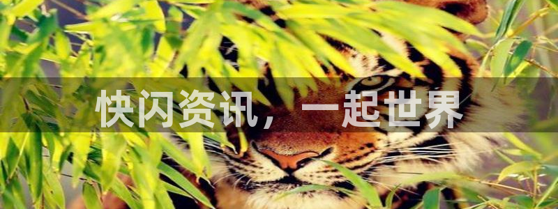 多彩娱乐平台：快闪资讯，一起世界