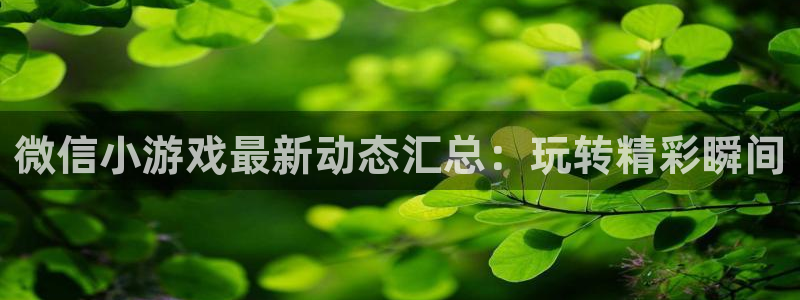 多彩娱乐手机网页版登录：微信小游戏最新动态汇总：玩转精彩瞬间