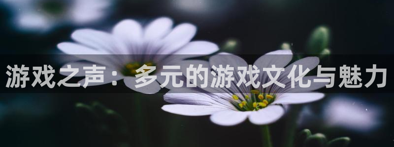 多彩娱乐平台官网登录：游戏之声：多元的游戏文化与魅力