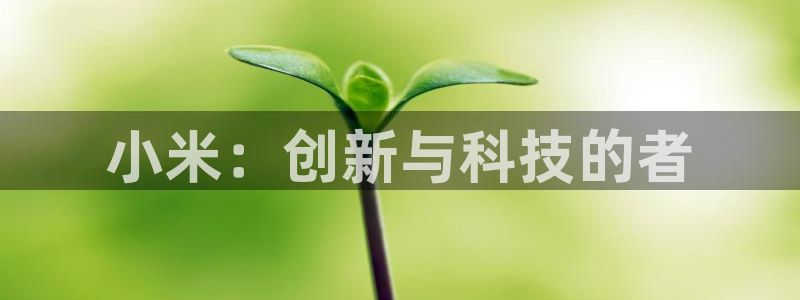 多彩娱乐app下载：小米：创新与科技的者