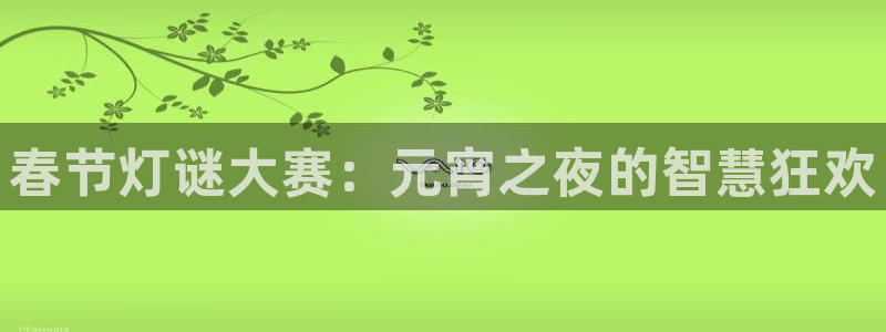 833nba直播在线观看免费：春节灯谜大赛：元宵之夜的智慧狂欢