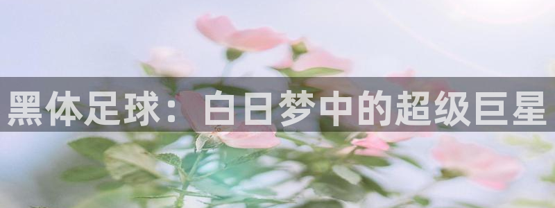 833体育免费直播平台：黑体足球：白日梦中的超级巨星
