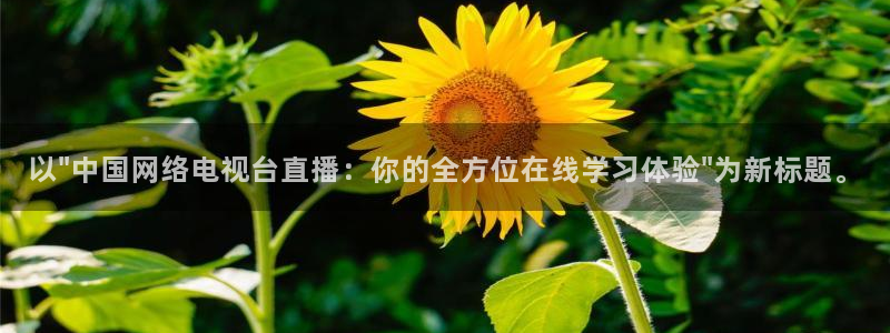 833篮球直播比赛在线观看：以\