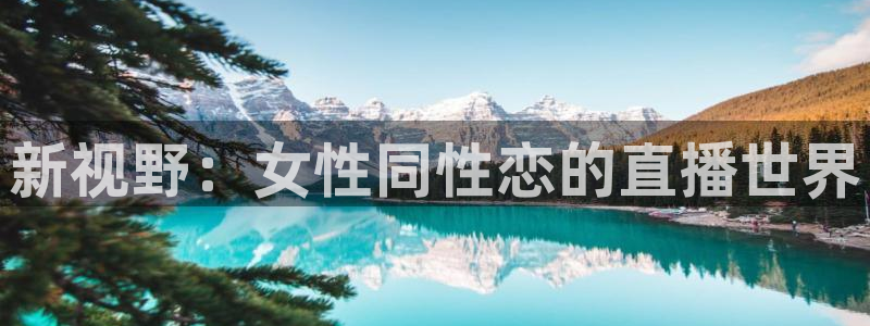 833直播：新视野：女性同性恋的直播世界