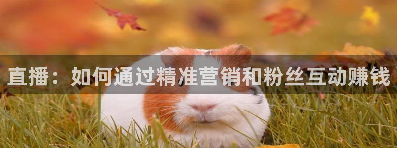 833直播体育免费观看入口：直播：如何通过精准营销和粉丝互动赚钱