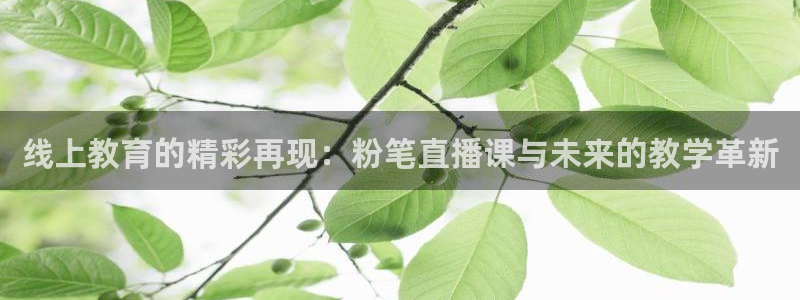 833直播比赛免费观看：线上教育的精彩再现：粉笔直播课与未来的教学革新