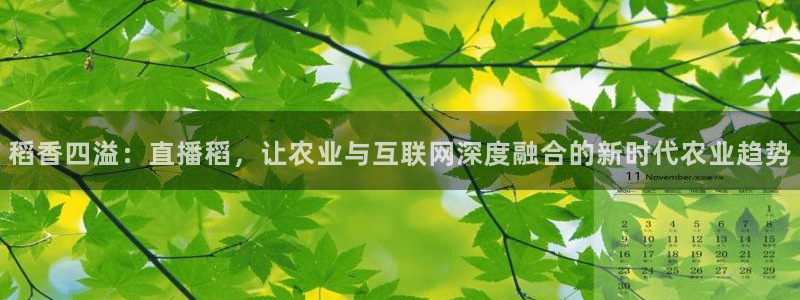 833比赛直播：稻香四溢：直播稻，让农业与互联网深度融合的新时代农业趋势