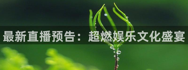 833篮球体育免费直播平台：最新直播预告：超燃娱乐文化盛宴