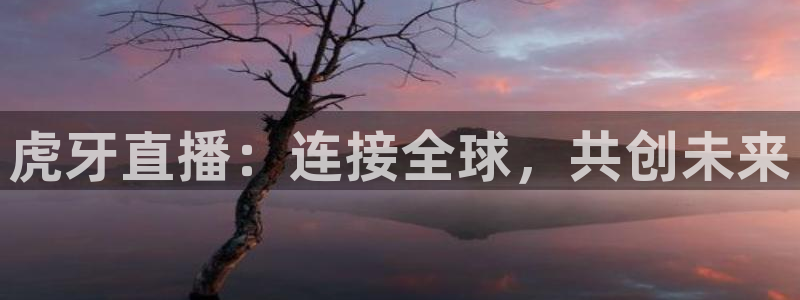 833体育赛事免费直播：虎牙直播：连接全球，共创未来