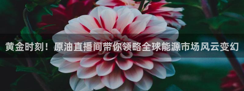 833直播体育nba：黄金时刻！原油直播间带你领略全球能源市场风云变幻